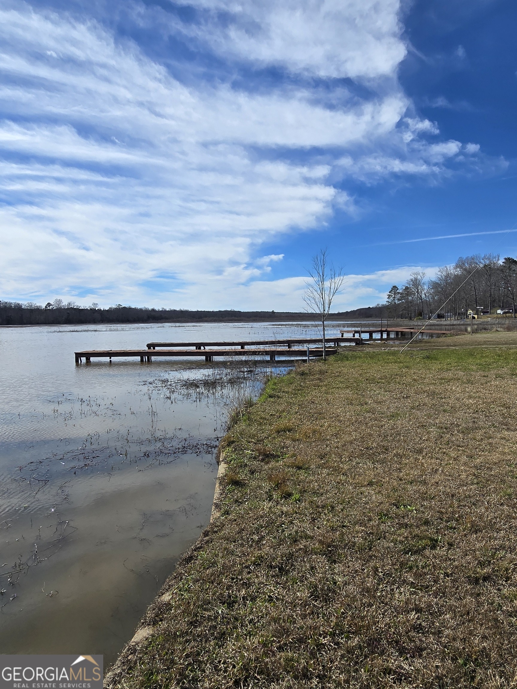 166 Lakeshore Drive N Ivey GA 31031