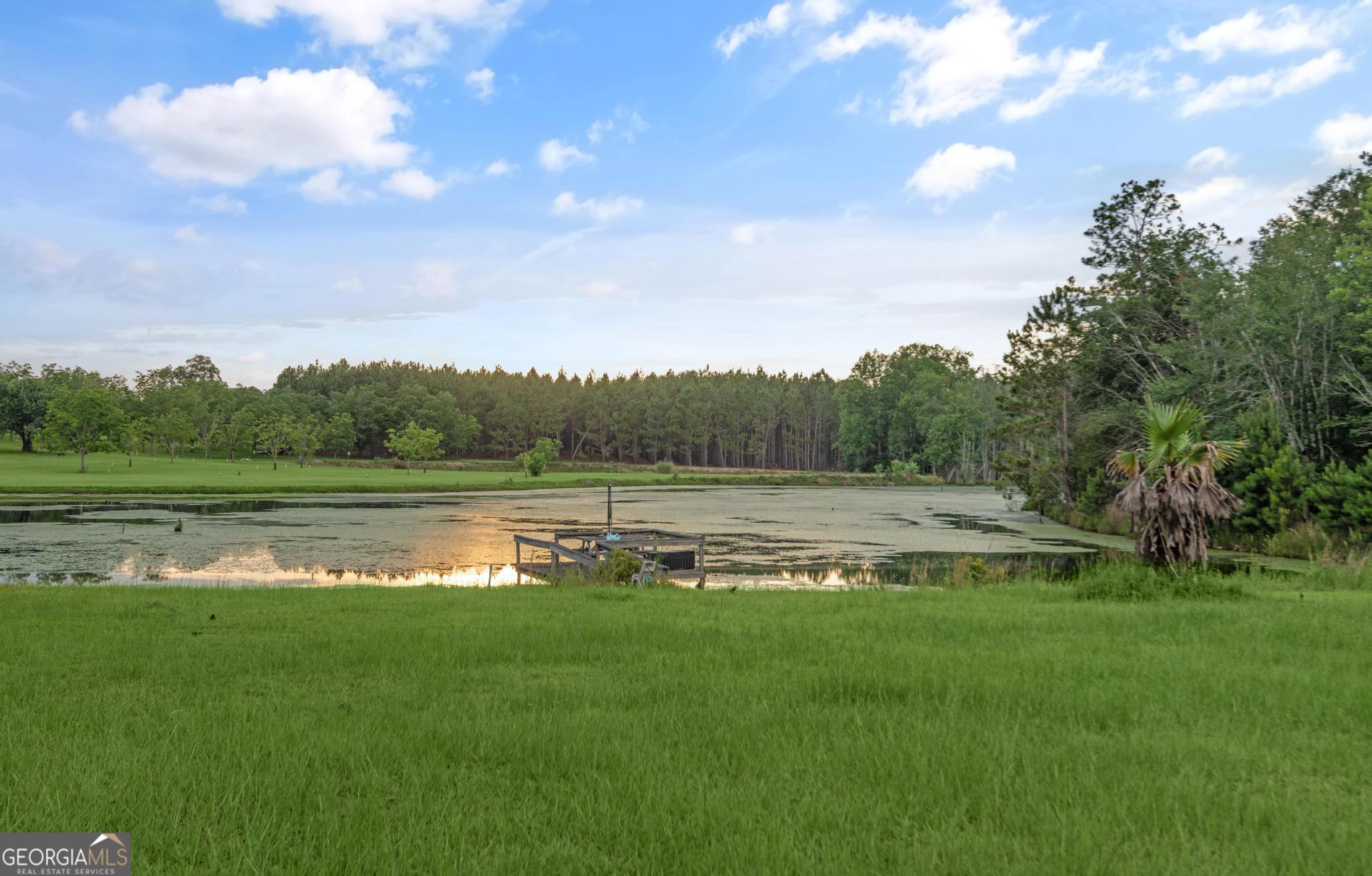 4909 Perry Road Claxton GA 30417