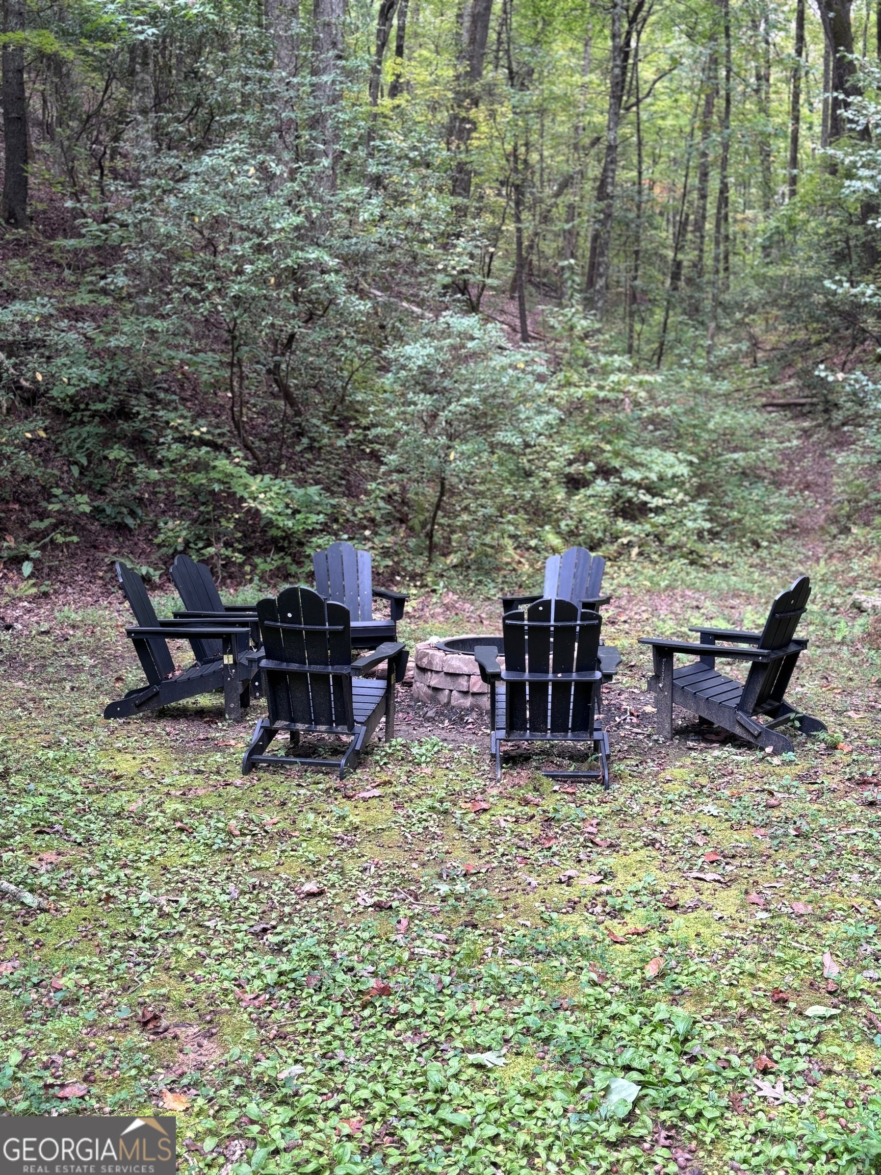 258 Ber Weg Helen GA 30545