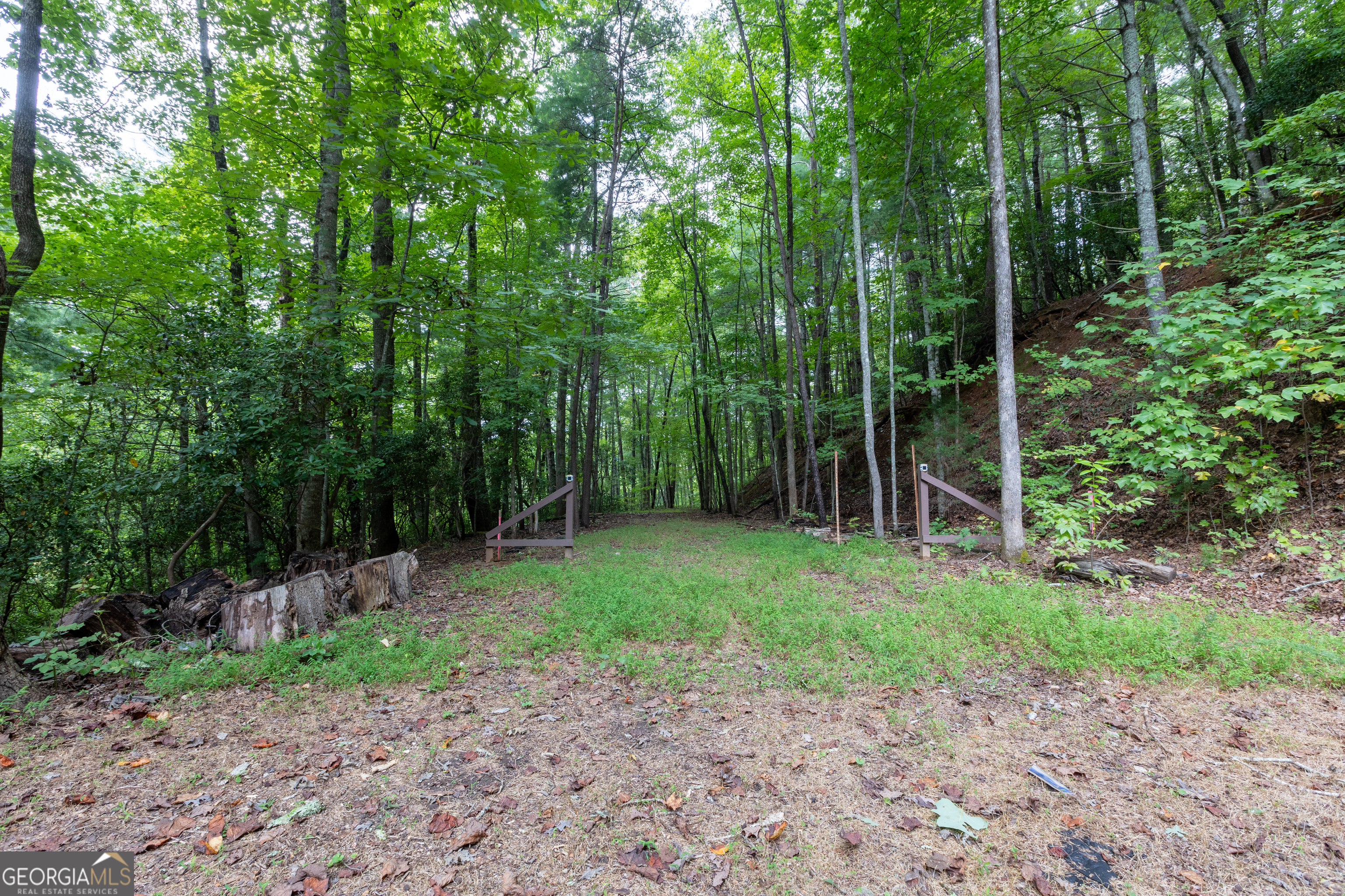 258 Ber Weg Helen GA 30545