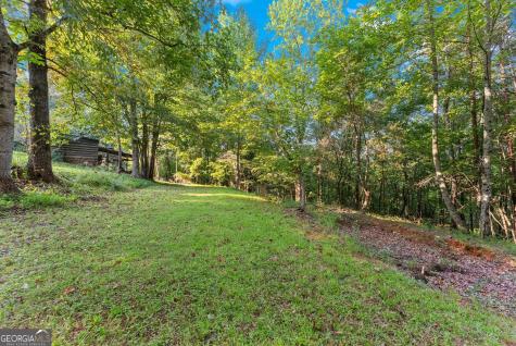 5351 Highway 19 N Dahlonega GA 30533