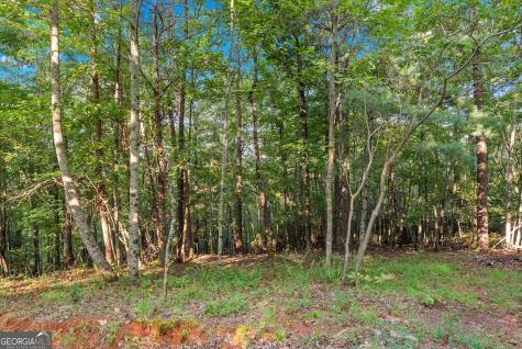 5351 Highway 19 N Dahlonega GA 30533