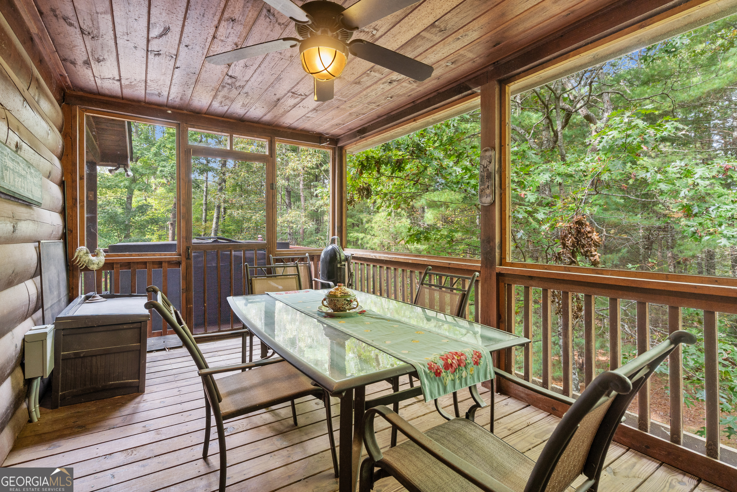 164 Hoot Owl Hill Morganton GA 30560