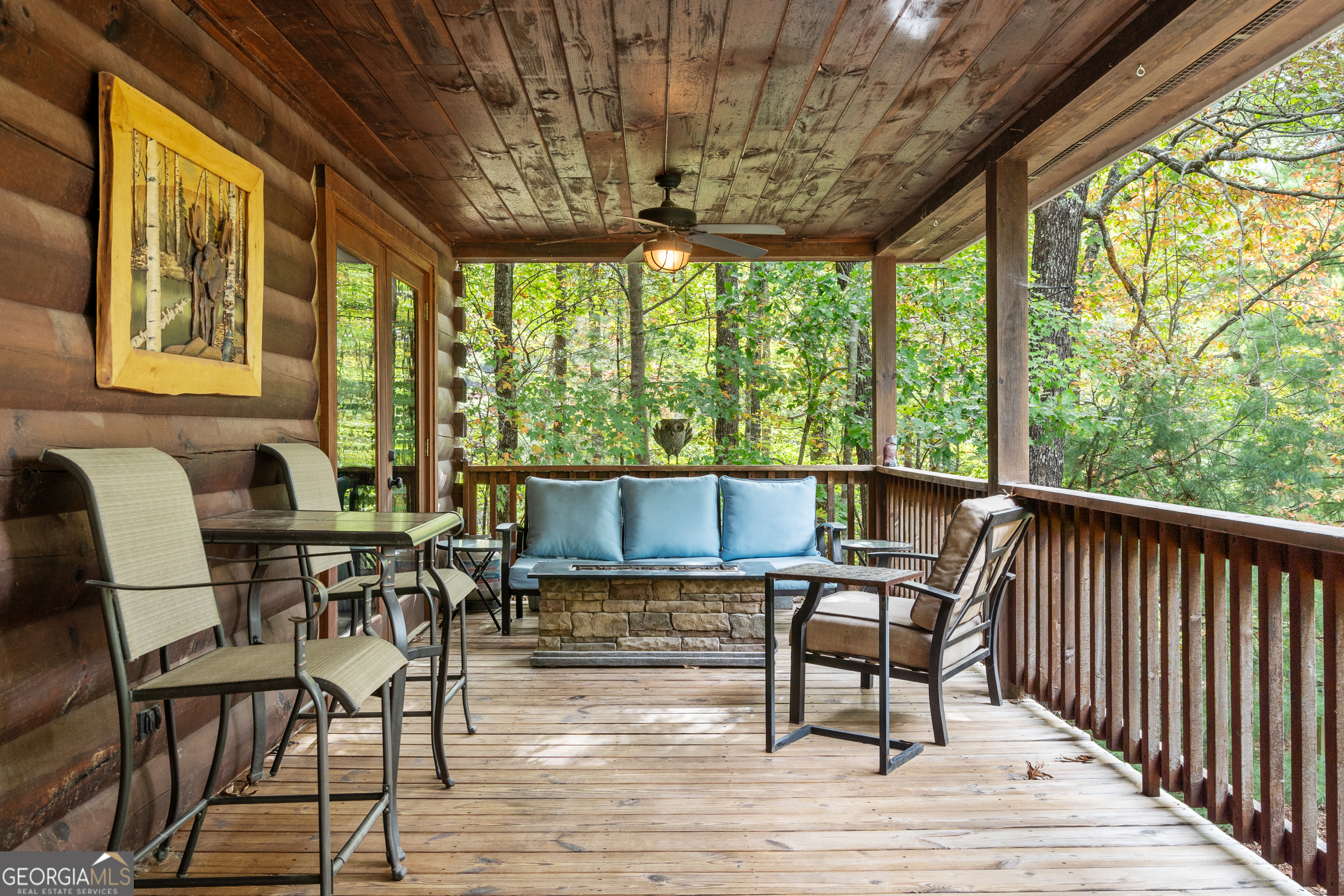 164 Hoot Owl Hill Morganton GA 30560