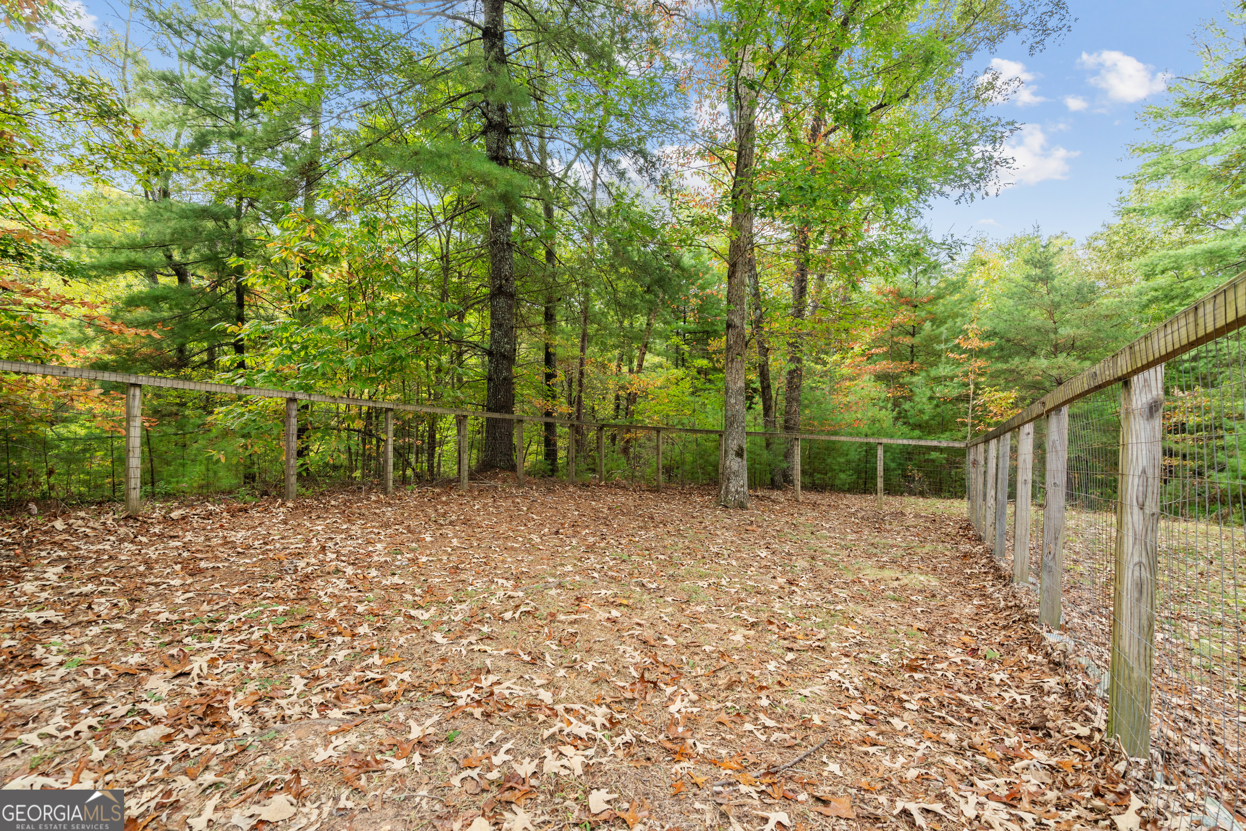 164 Hoot Owl Hill Morganton GA 30560