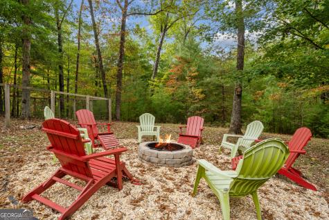 164 Hoot Owl Hill Morganton GA 30560