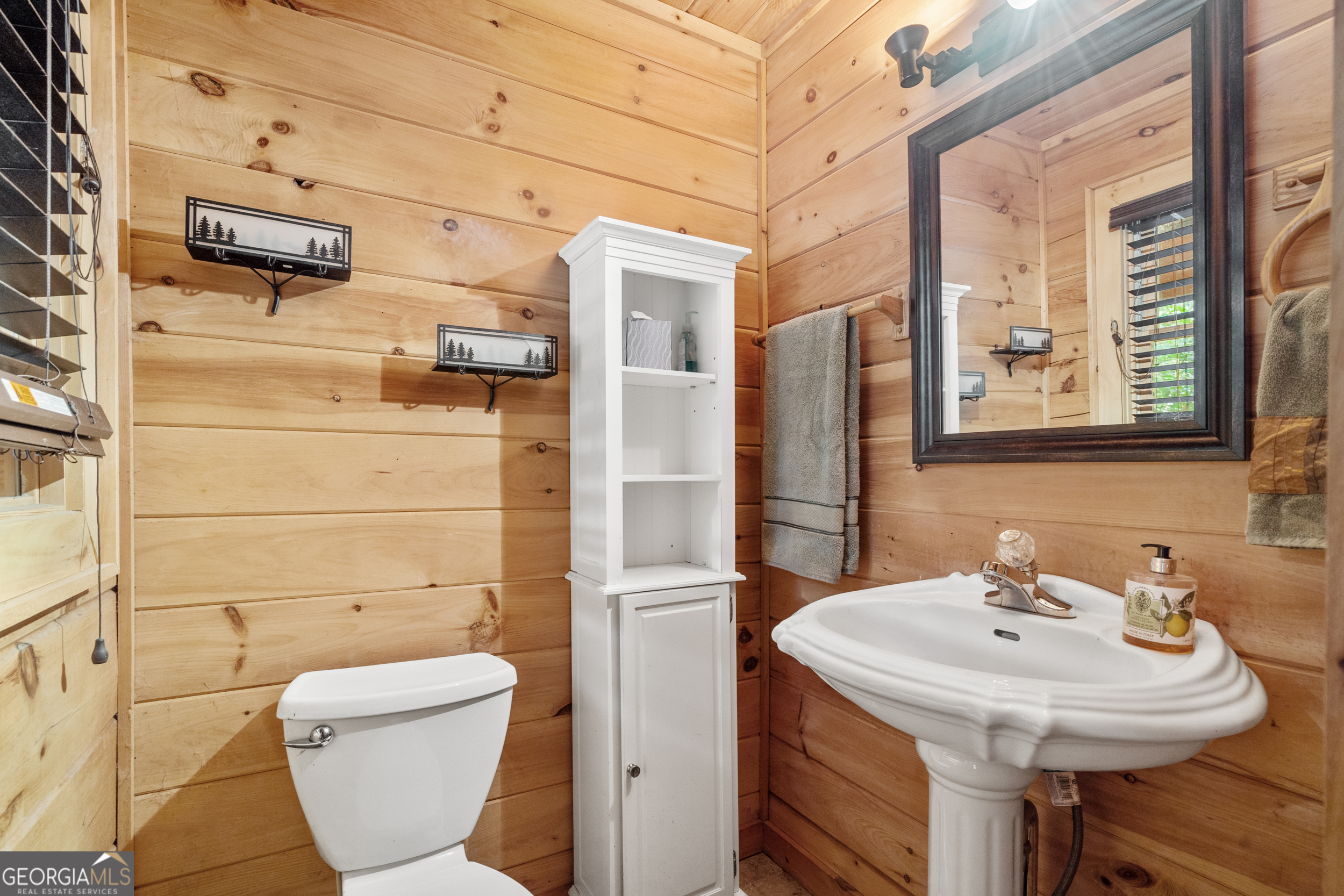 164 Hoot Owl Hill Morganton GA 30560
