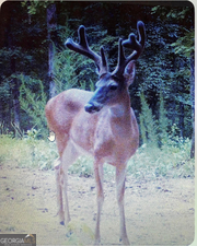 153 N Whatley Road Lagrange GA 30240