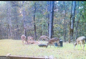 153 N Whatley Road Lagrange GA 30240