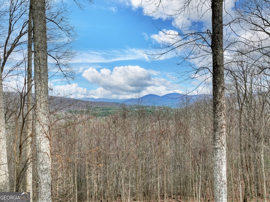 260 Observation Lane Blue Ridge GA 30513