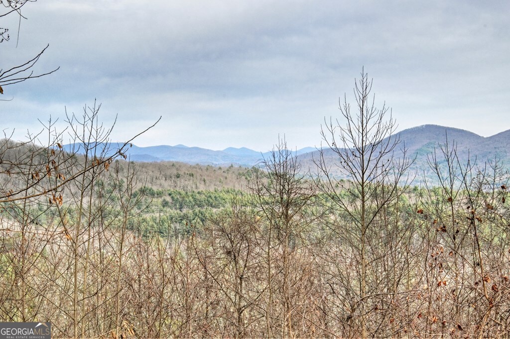 260 Observation Lane Blue Ridge GA 30513