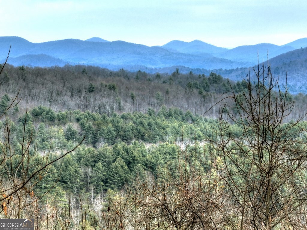 260 Observation Lane Blue Ridge GA 30513