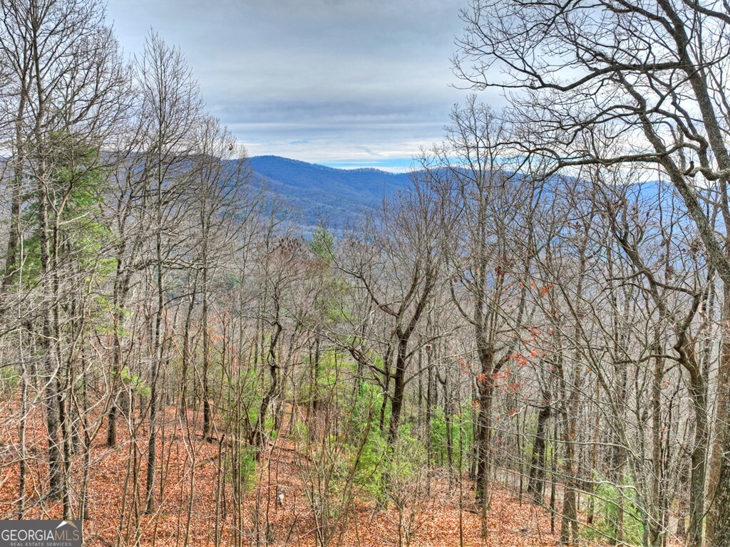 260 Observation Lane Blue Ridge GA 30513