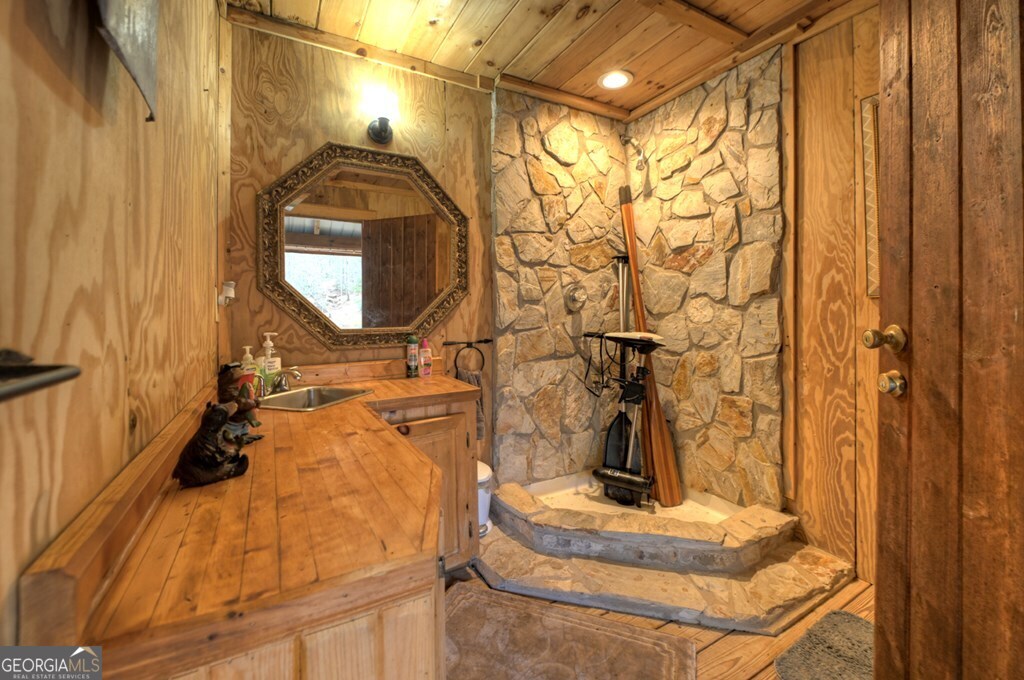 260 Observation Lane Blue Ridge GA 30513