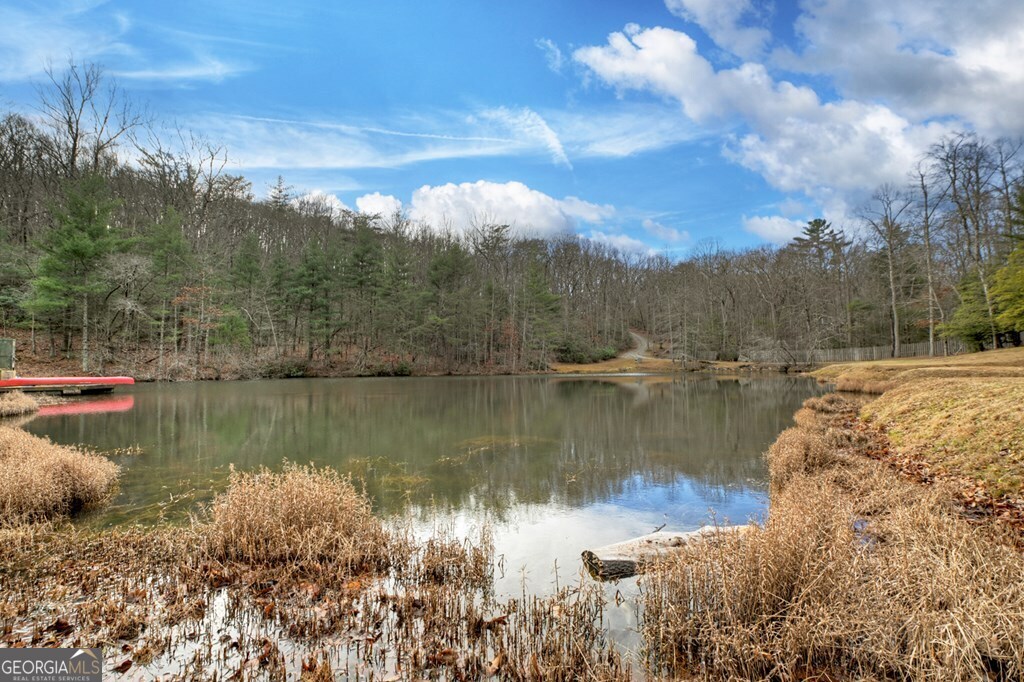 260 Observation Lane Blue Ridge GA 30513