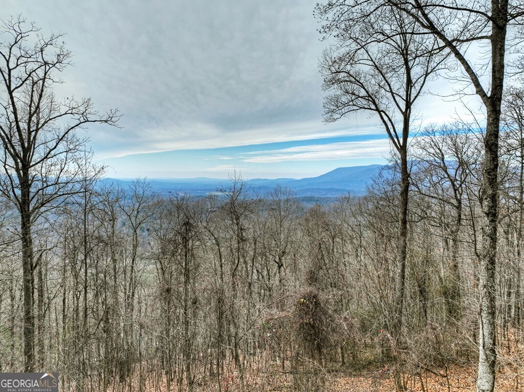 260 Observation Lane Blue Ridge GA 30513