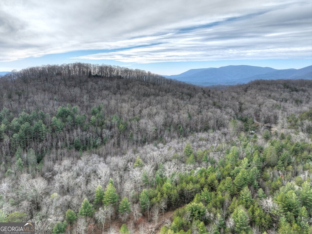 260 Observation Lane Blue Ridge GA 30513