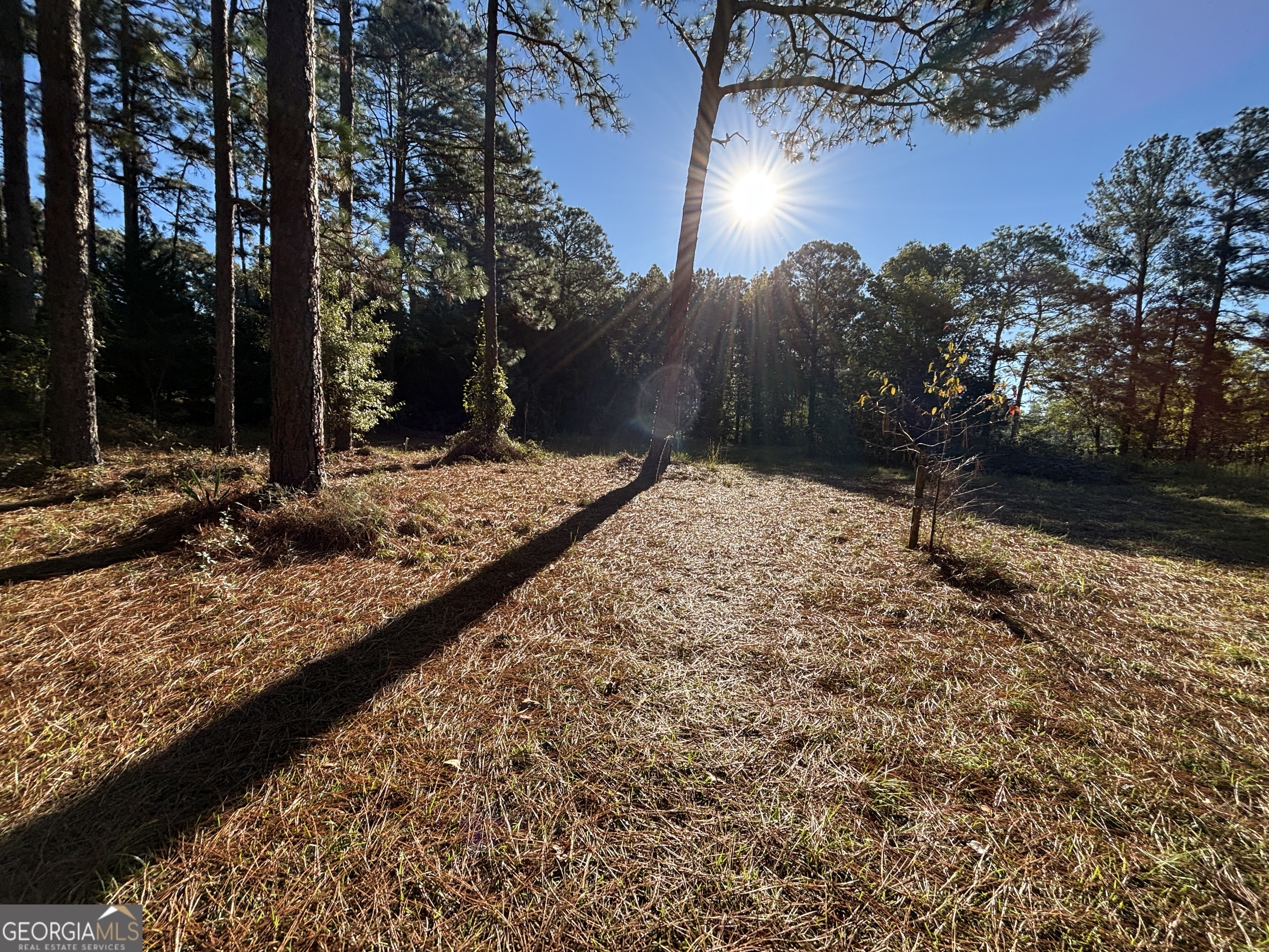 319 Country Club Road Cochran GA 31014