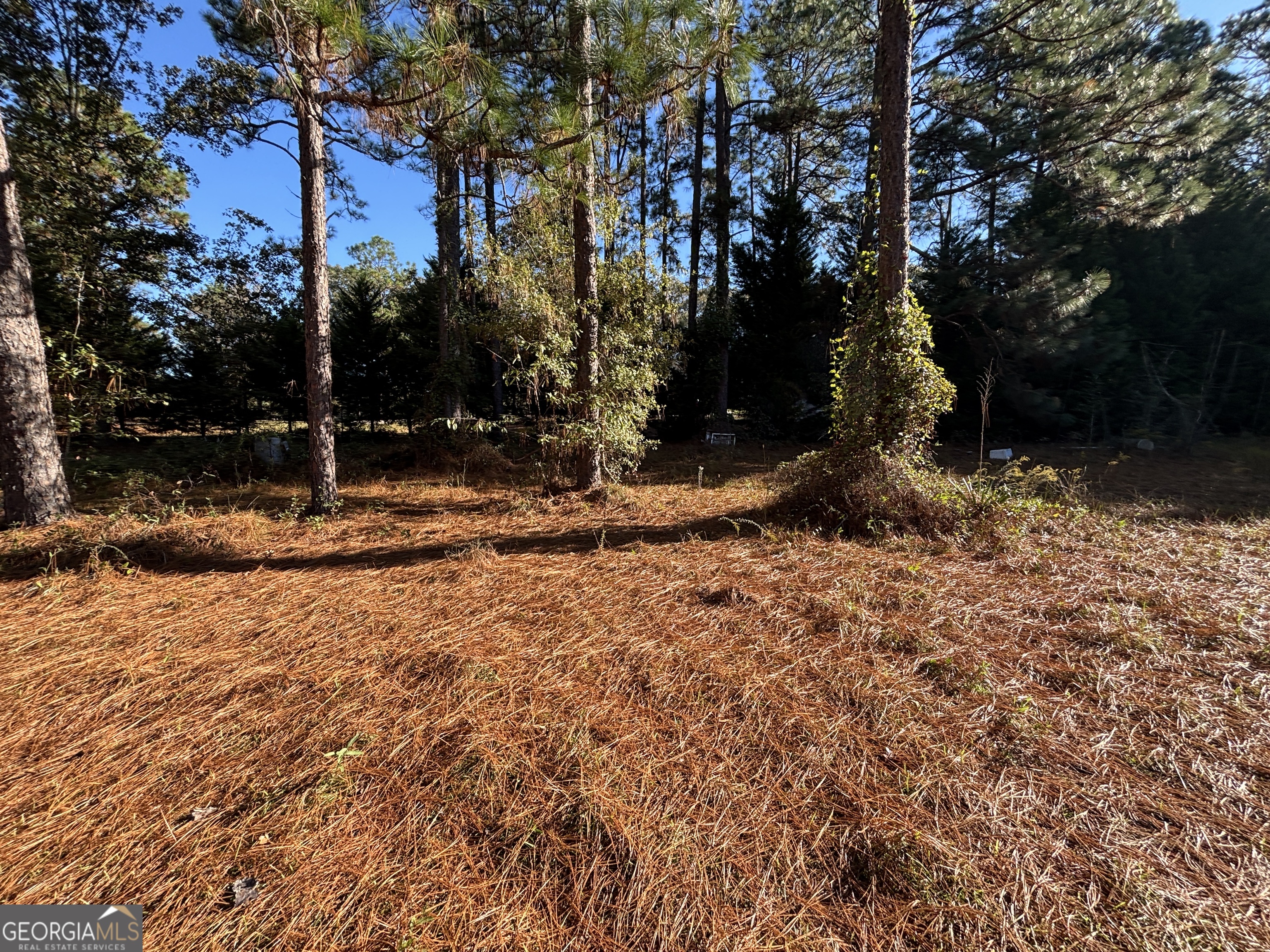319 Country Club Road Cochran GA 31014