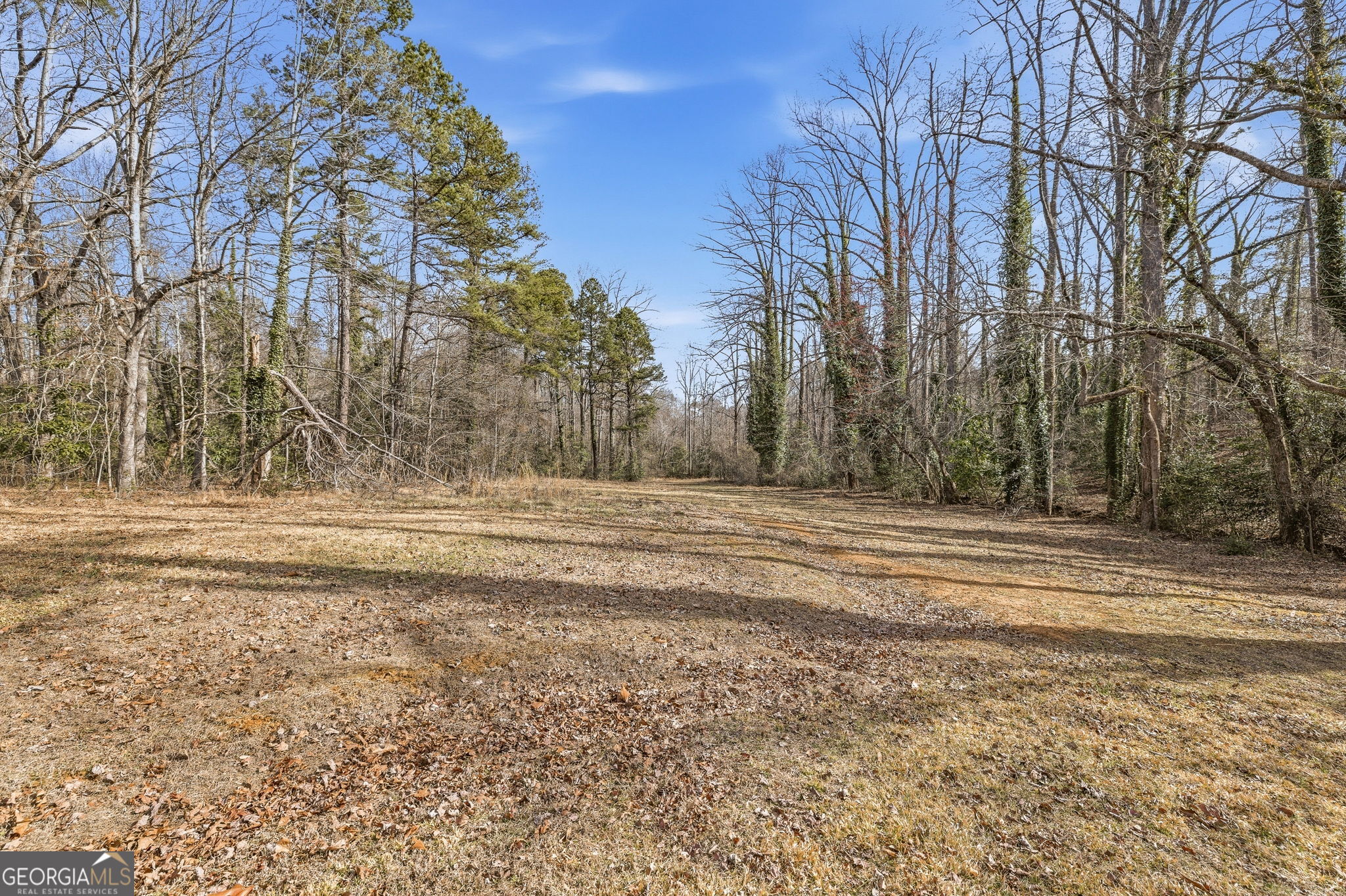 1046 Chase Road Cornelia GA 30531