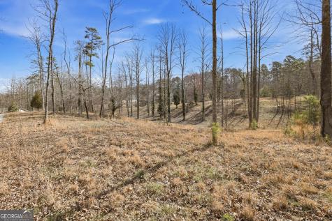 1046 Chase Road Cornelia GA 30531