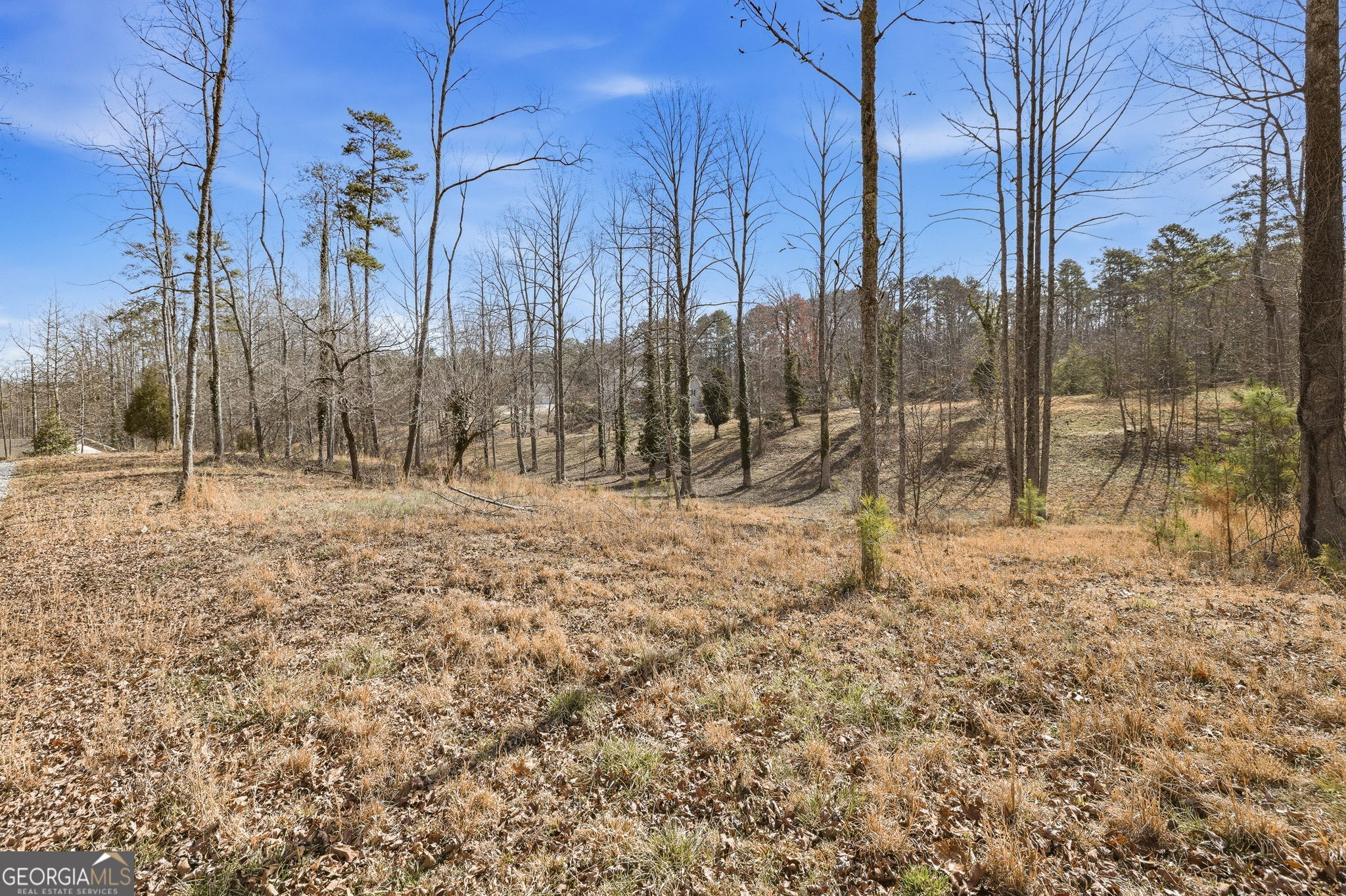 1046 Chase Road Cornelia GA 30531