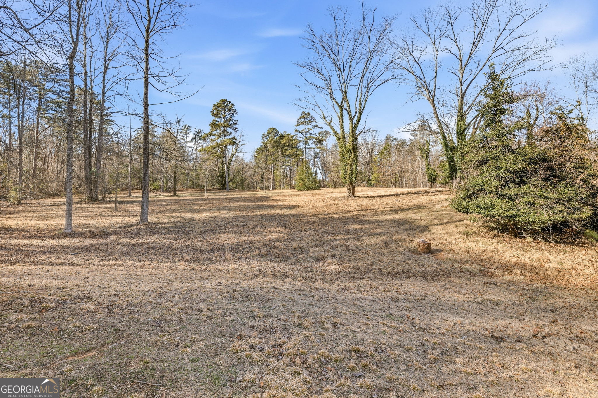 1046 Chase Road Cornelia GA 30531