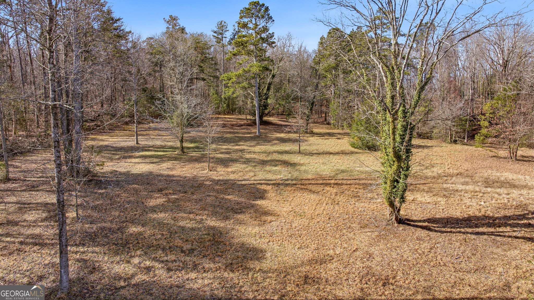 1046 Chase Road Cornelia GA 30531