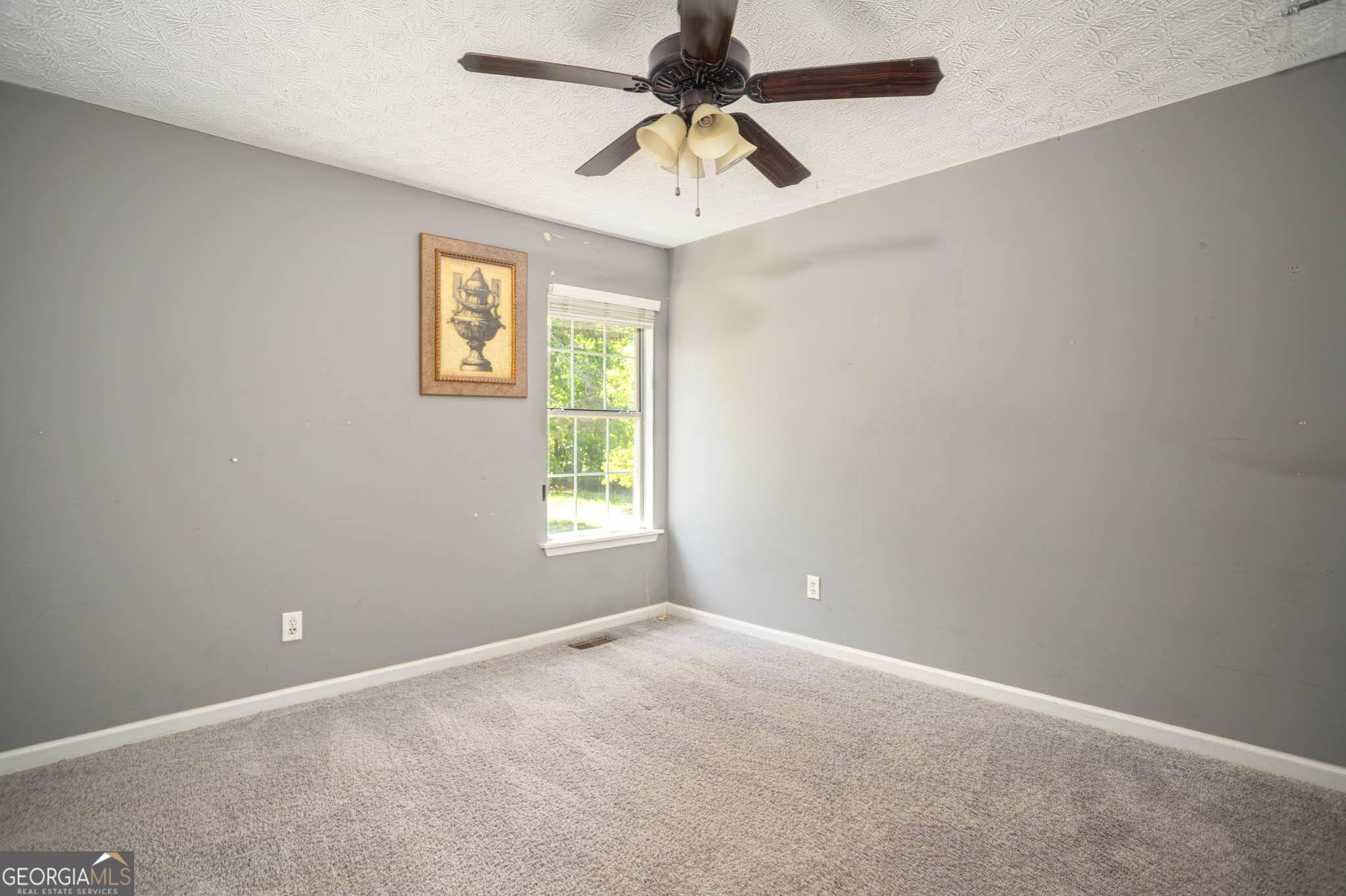 1080 Park Street Loganville GA 30052
