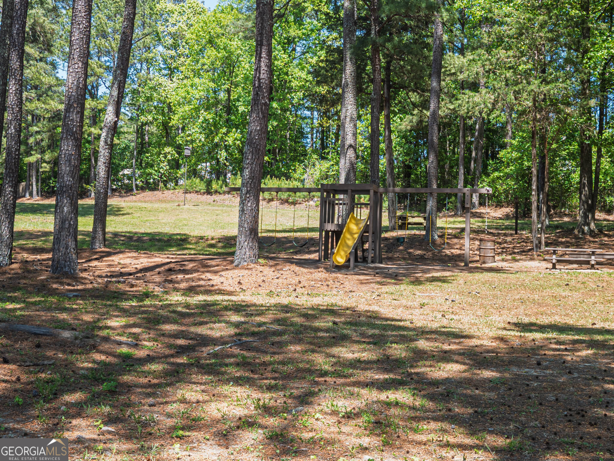 1080 Park Street Loganville GA 30052