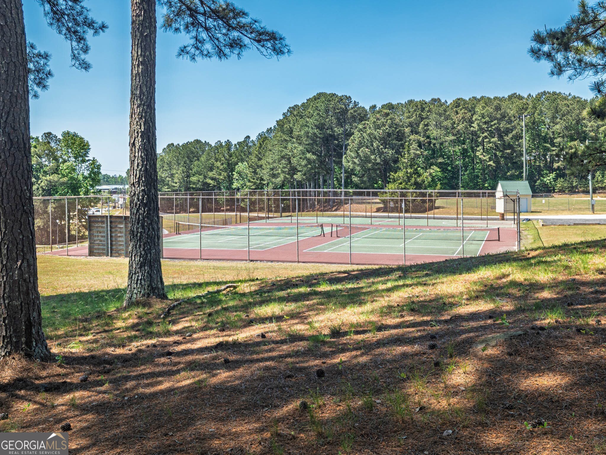 1080 Park Street Loganville GA 30052
