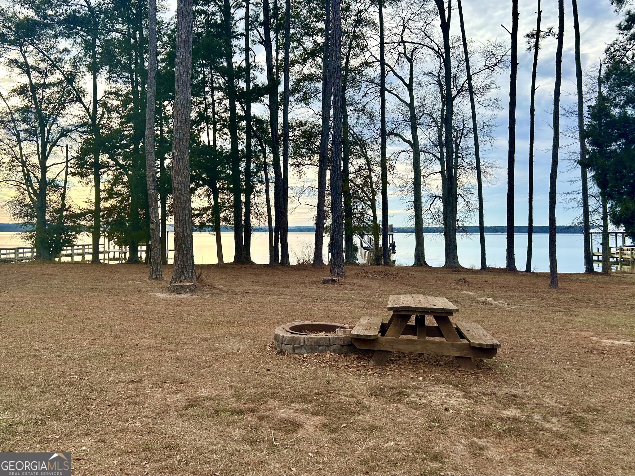 110 Lakeview Drive Fort Gaines GA 39851