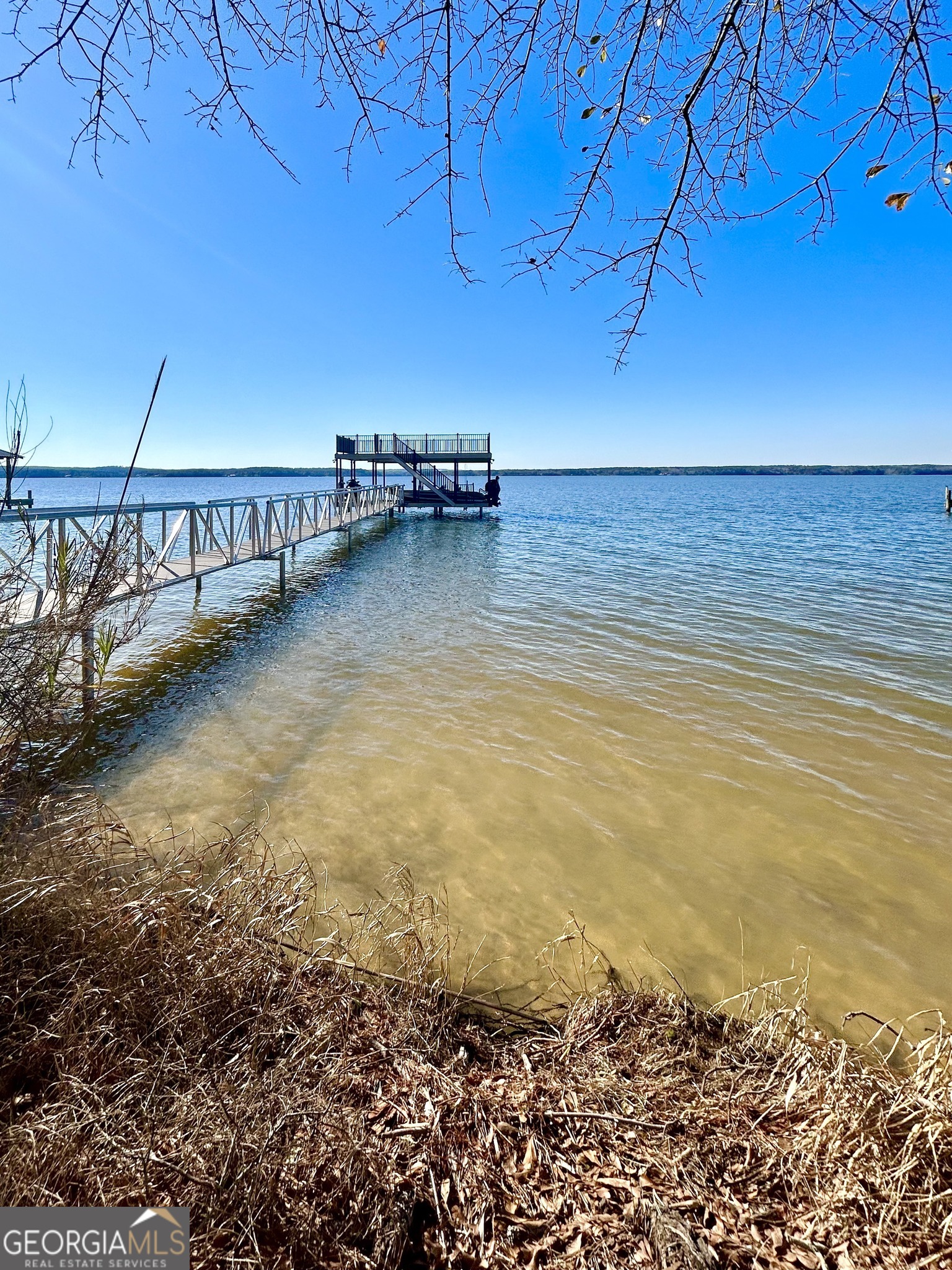 110 Lakeview Drive Fort Gaines GA 39851