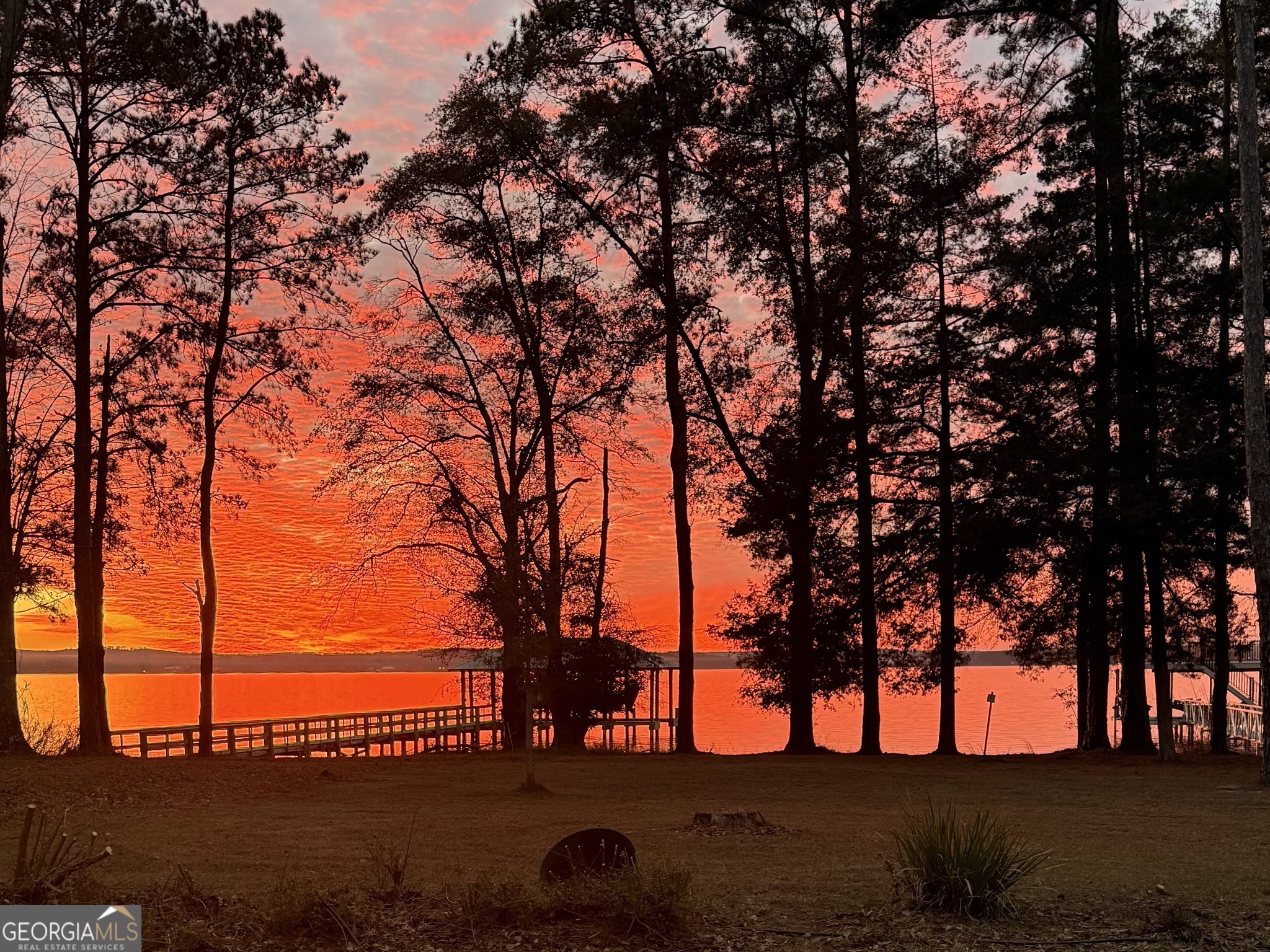 110 Lakeview Drive Fort Gaines GA 39851
