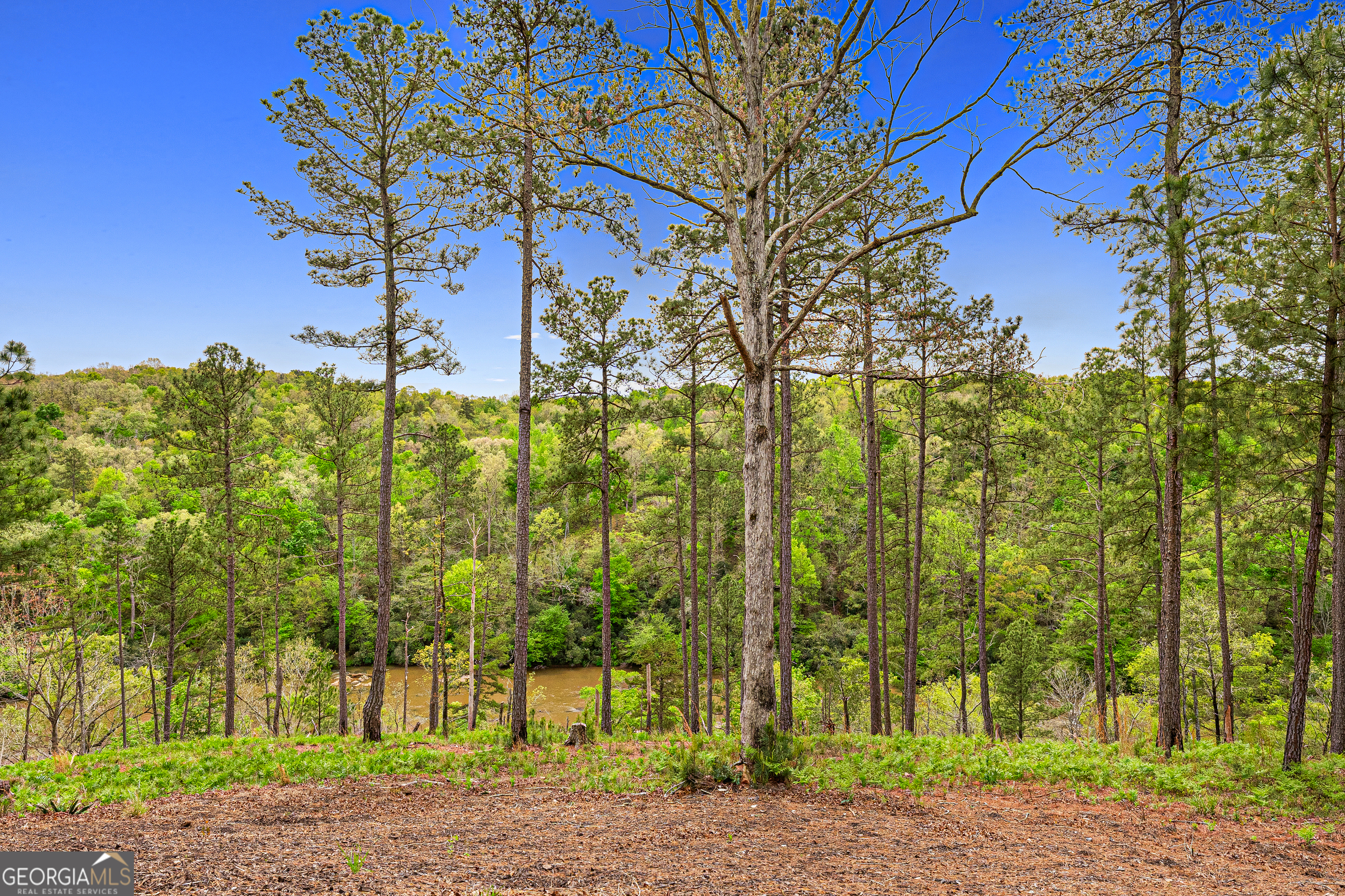 630 Human Road Bowman GA 30624
