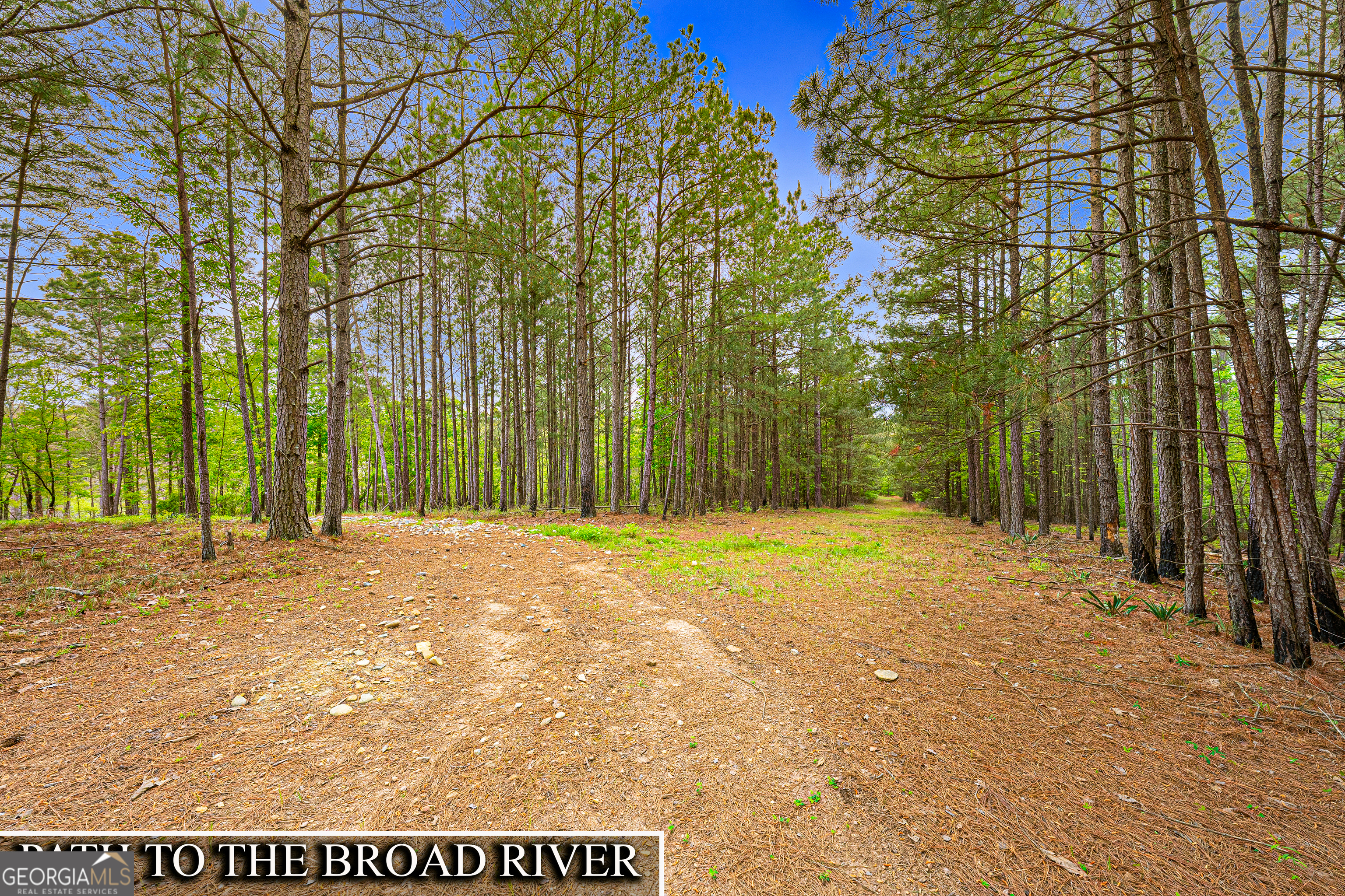 630 Human Road Bowman GA 30624