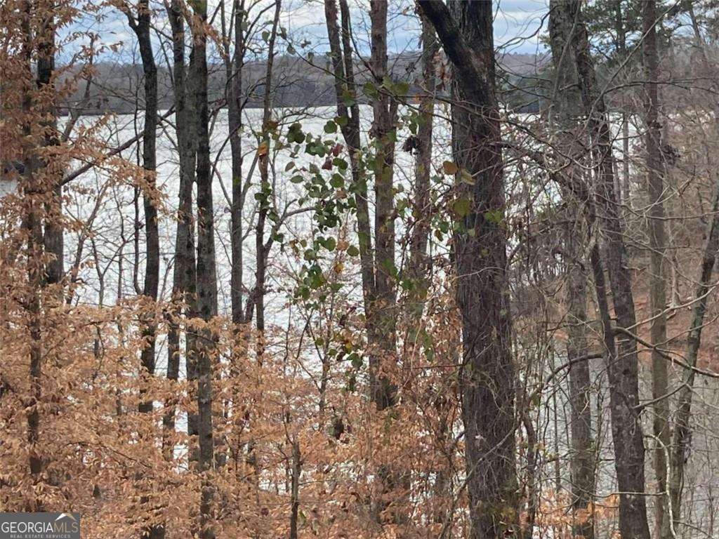 2510 Hidden Cove Court Gainesville GA 30501
