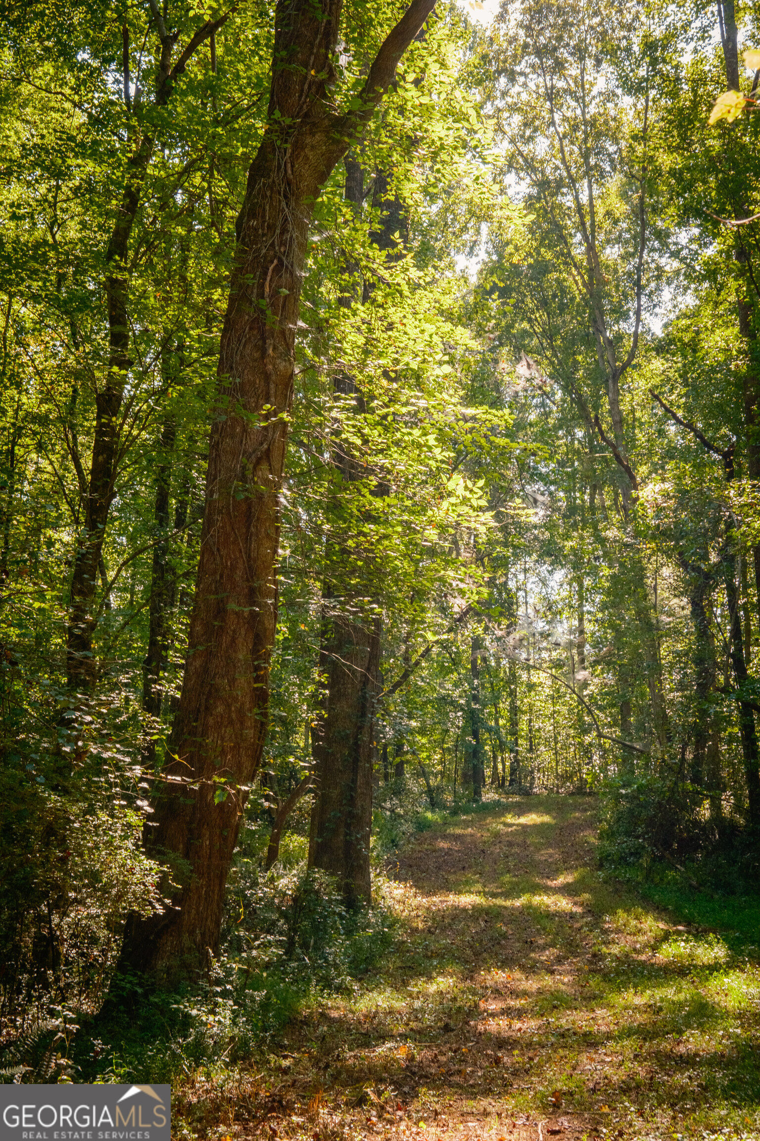958 Suttles Road Mount Airy GA 30563