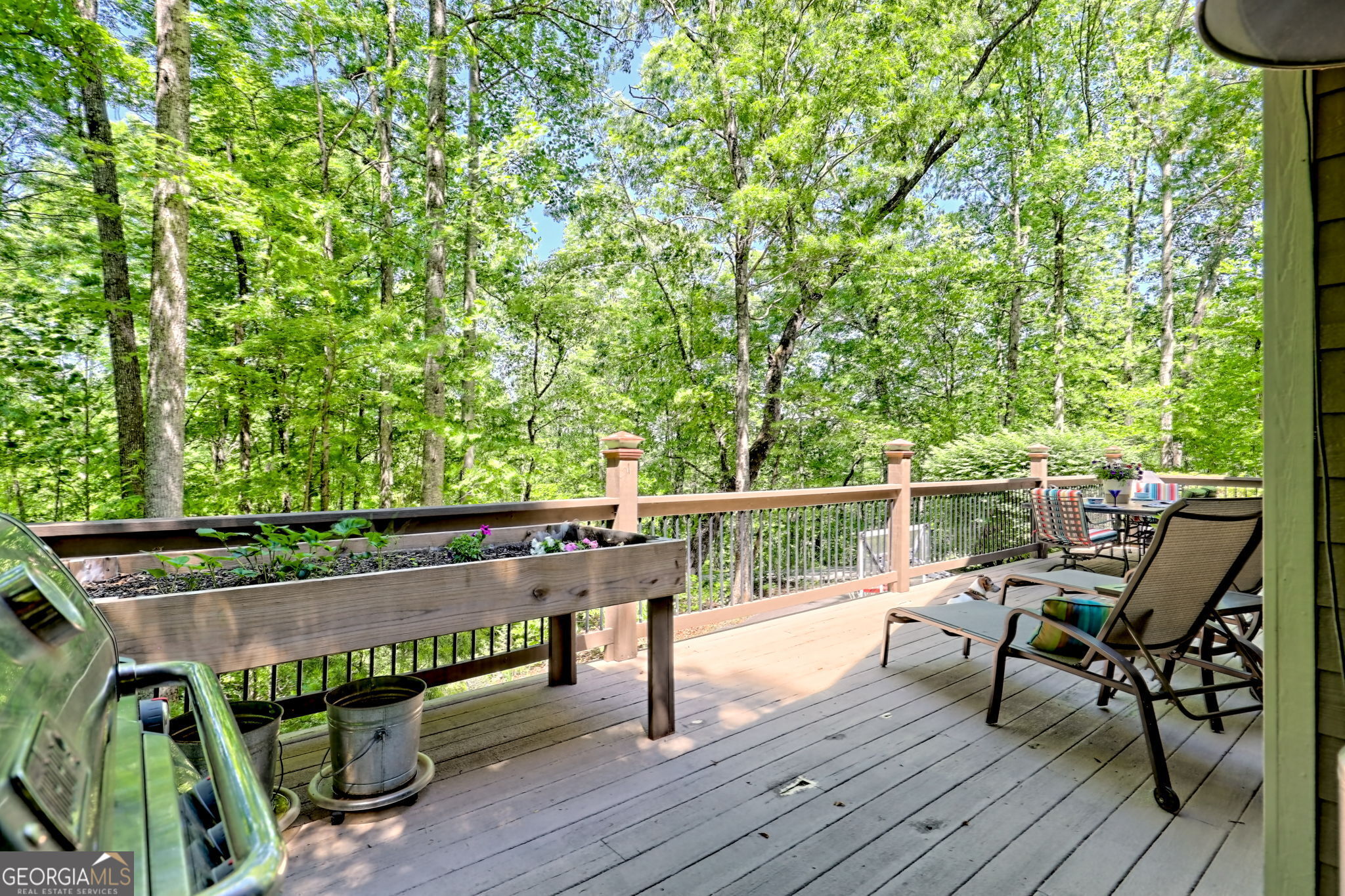 177 Whitetail Trail Clayton GA 30525