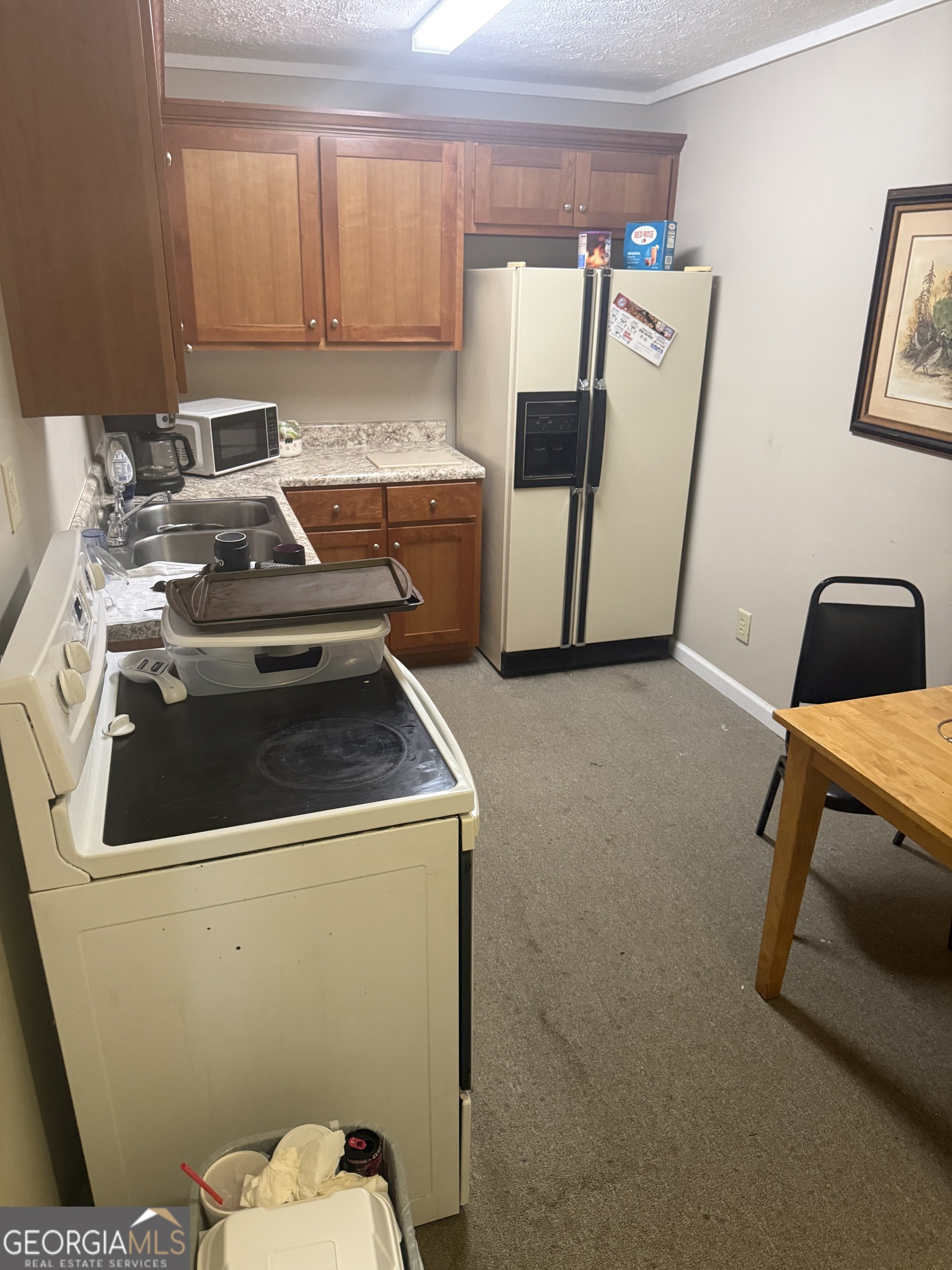 38 Campbell Cleveland GA 30528