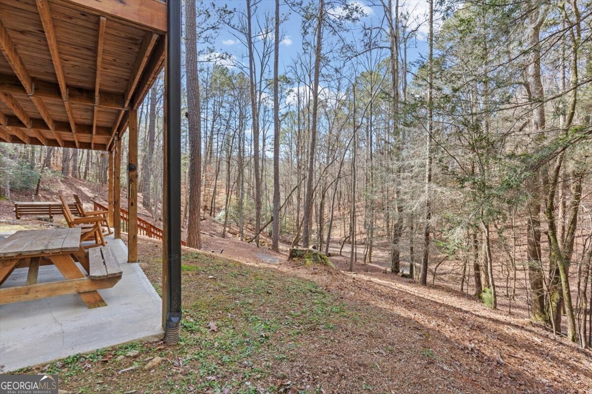 61 Grove Lane Ellijay GA 30540