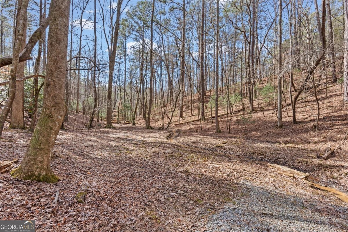 61 Grove Lane Ellijay GA 30540