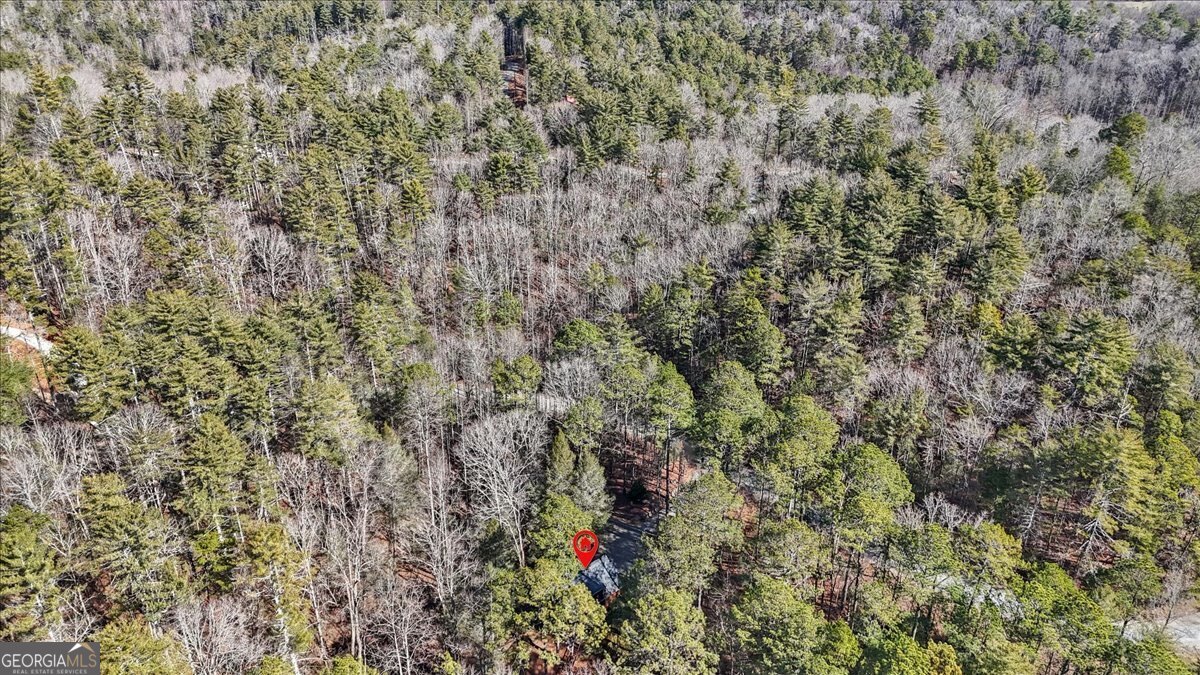 61 Grove Lane Ellijay GA 30540