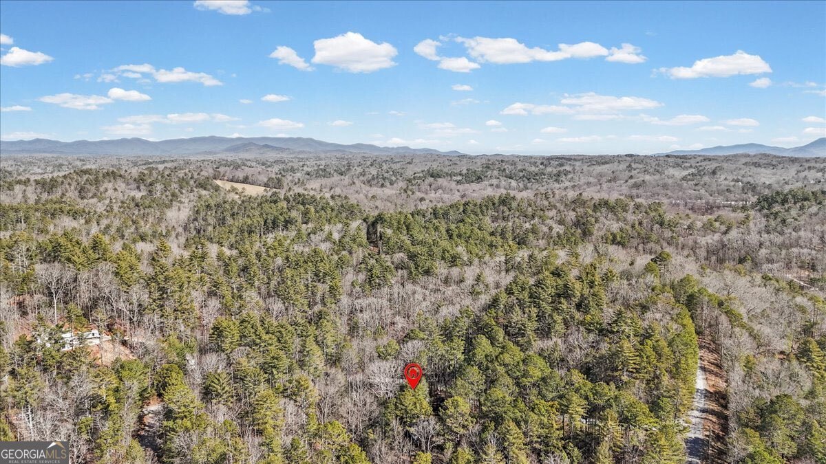 61 Grove Lane Ellijay GA 30540