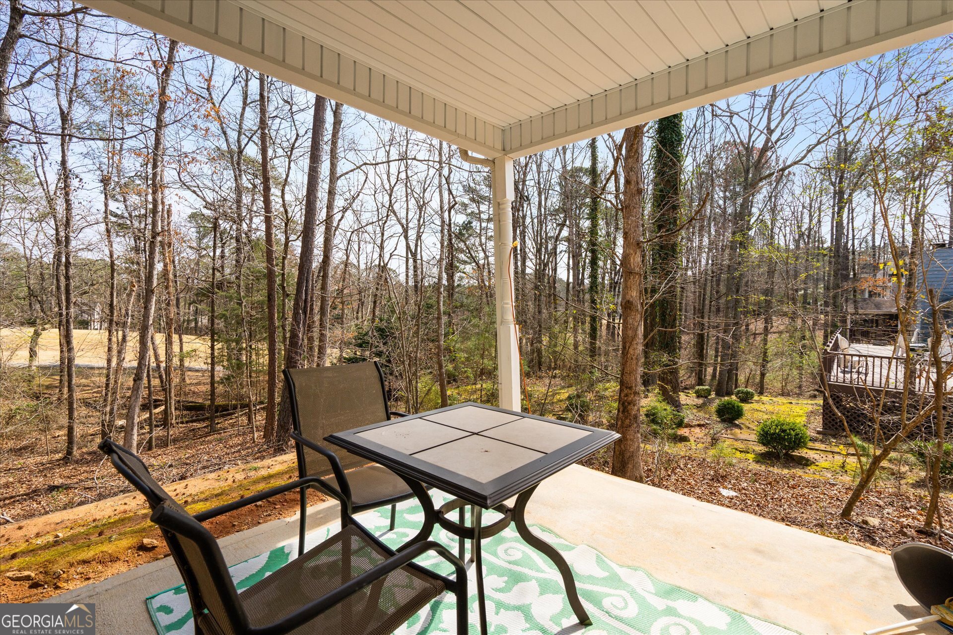 7338 S Mitchell Court Villa Rica GA 30180