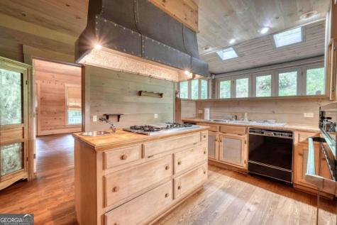 2350 Dial Road Blue Ridge GA 30513