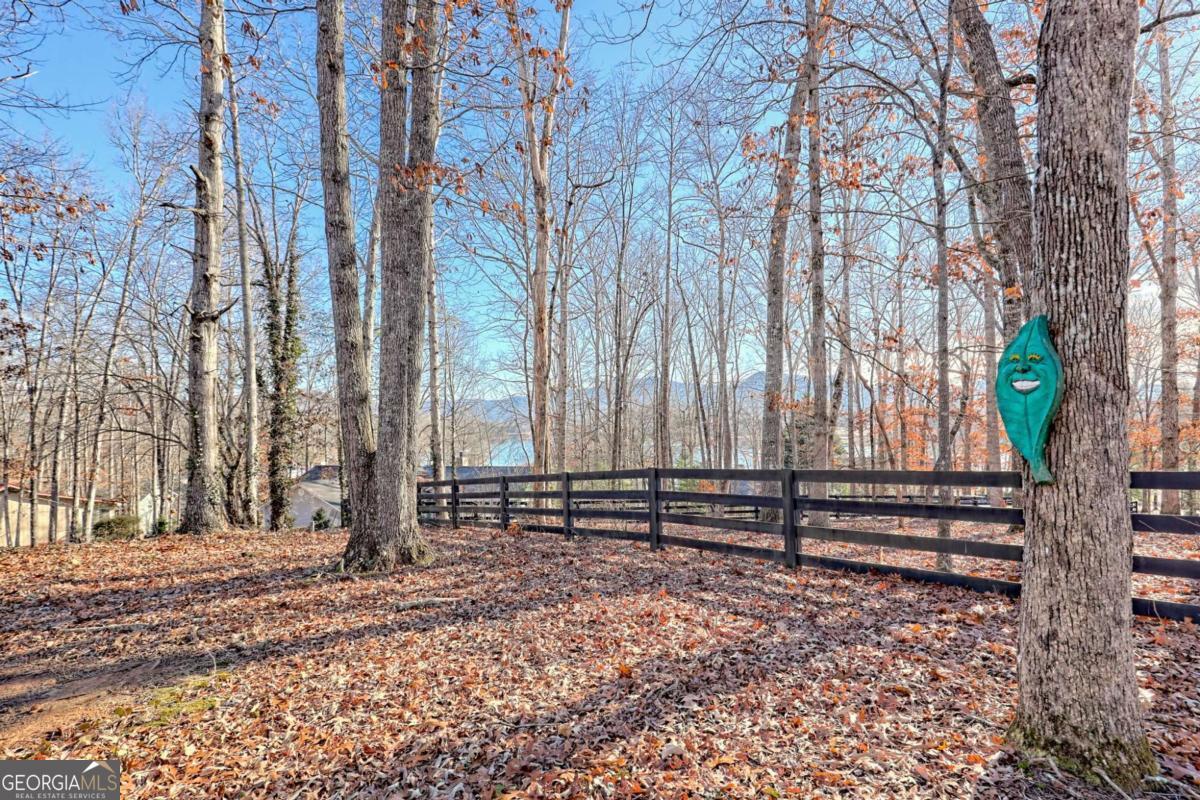 1444 Kelley Way Hiawassee GA 30546