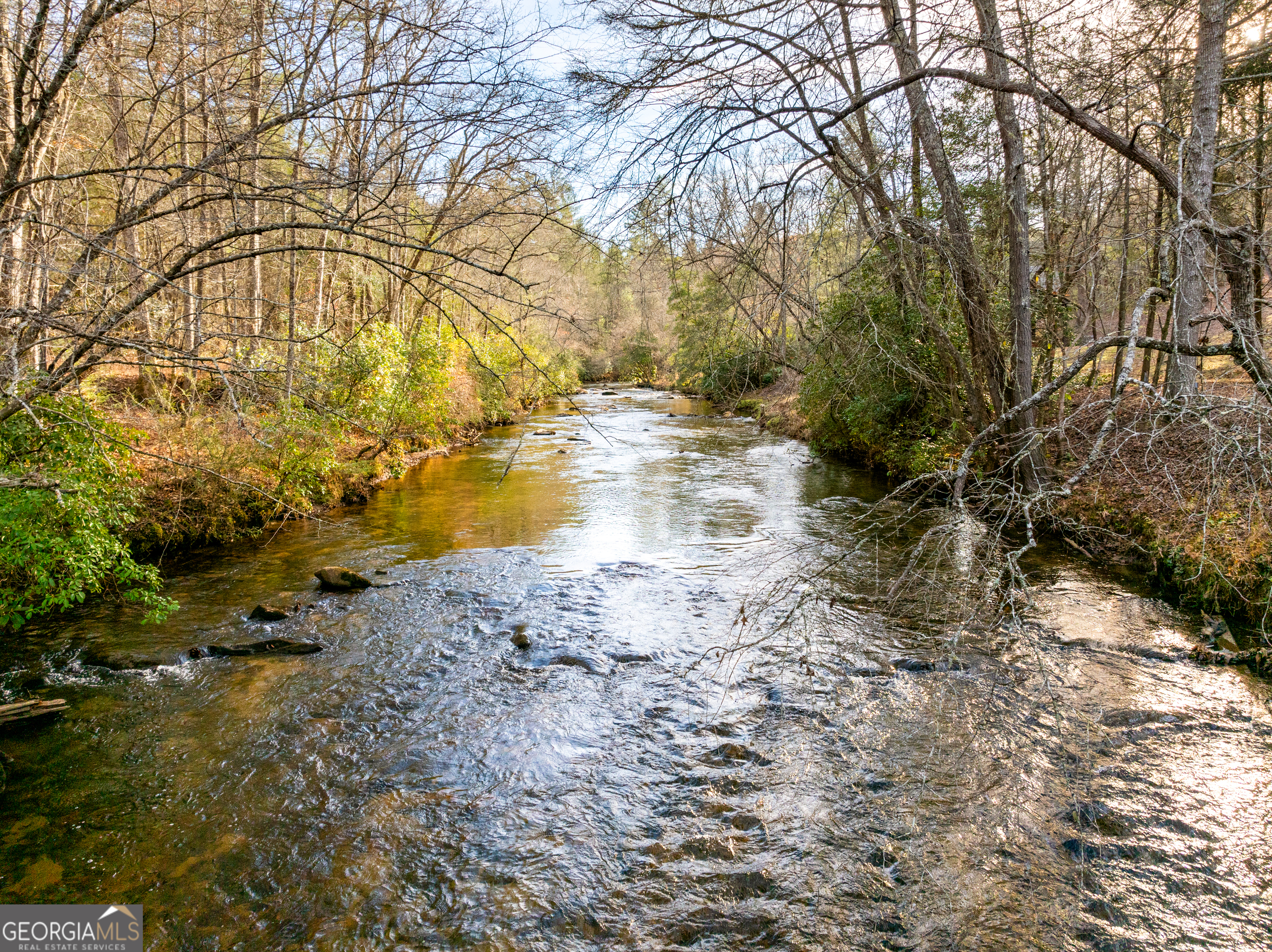 450 Miracle Lane Blue Ridge GA 30513