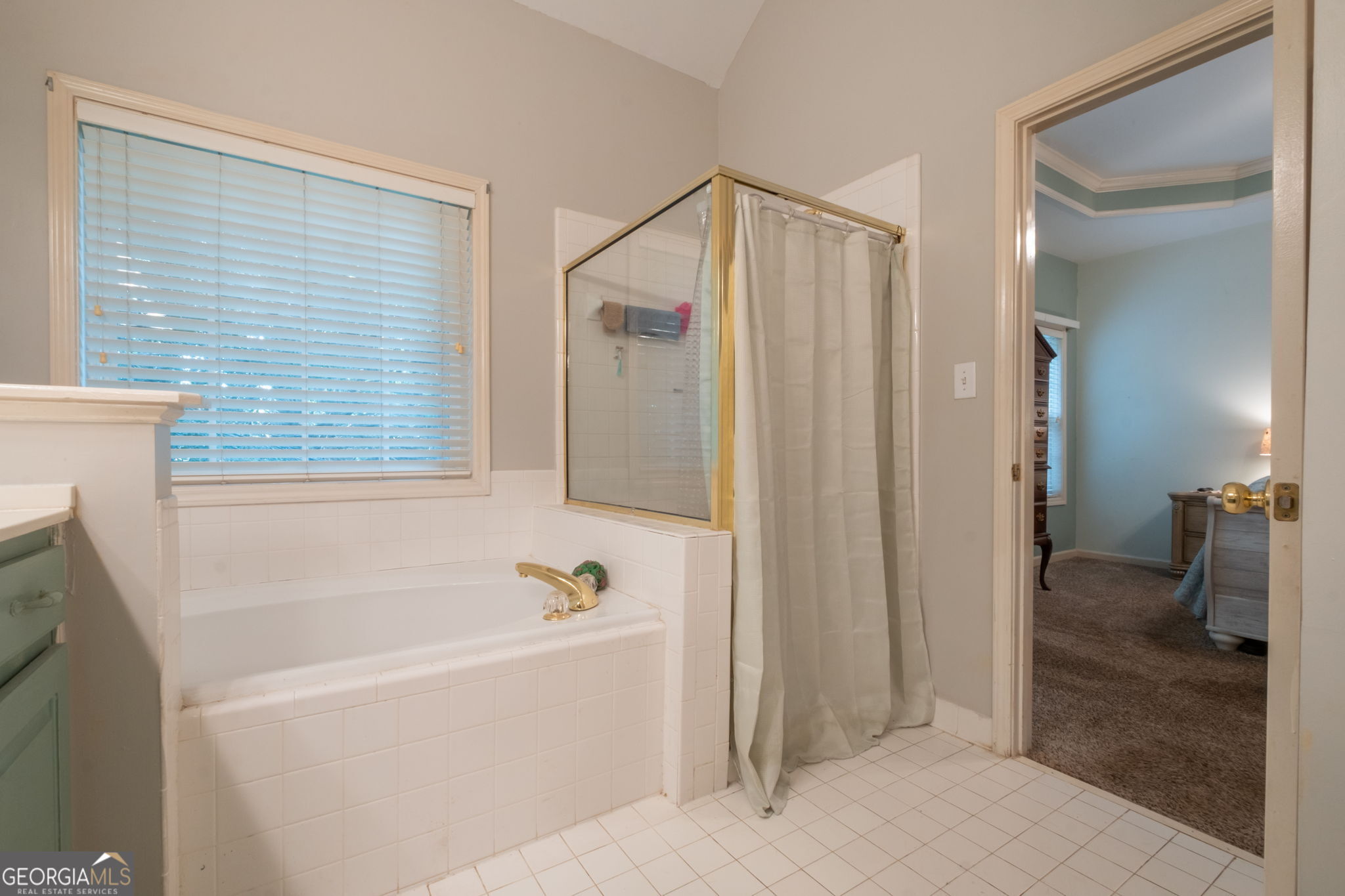 123 W Castle View Drive Braselton GA 30517