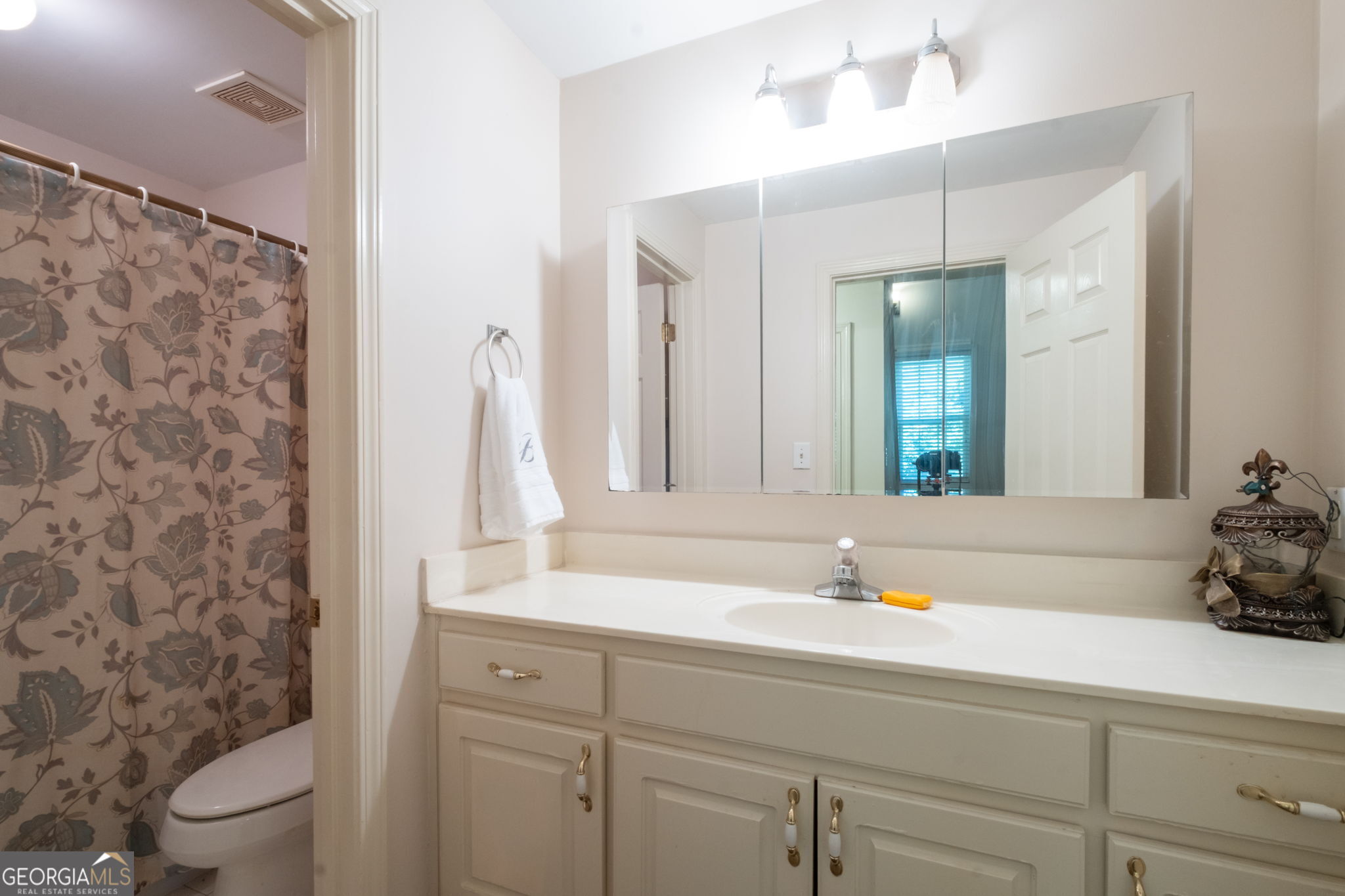 123 W Castle View Drive Braselton GA 30517